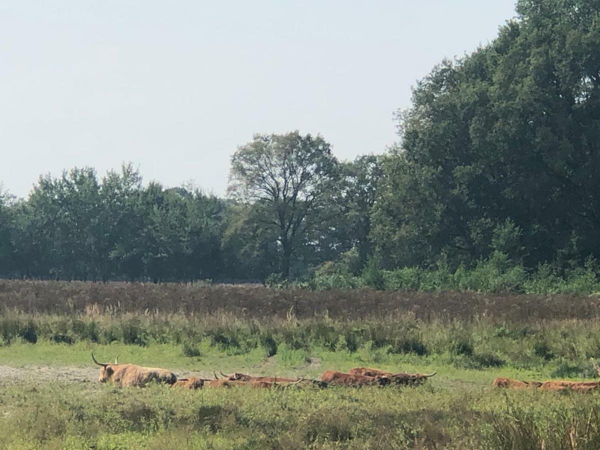 'T Vosseven Vakantiepark Stramproy Zewnętrze zdjęcie